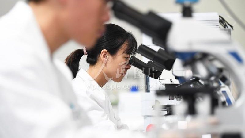 真菌污染悄悄来袭：细胞培养中那些防不胜防的破绽