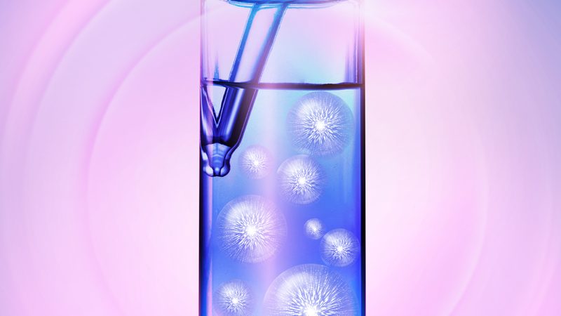 PCR引物合成：上海厂家的技术实力与行业格局