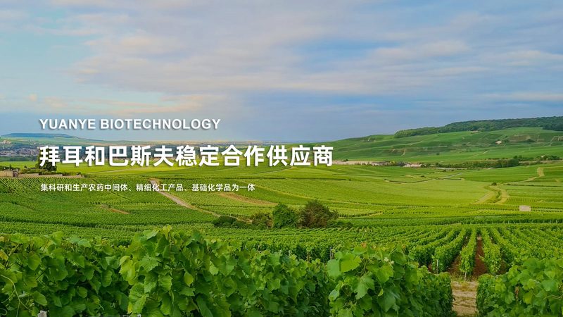生物药CDMO：揭秘其商业模式与行业价值