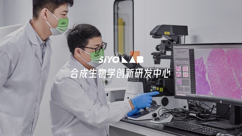 引物合成与修饰：揭秘分子生物学中的关键差异**