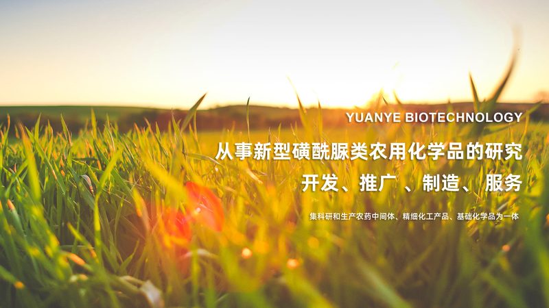 逆转录酶：生物医药研发的“魔术师”与如何选择合适的生产厂家
