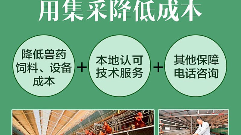细菌培养基：如何选择合适的品牌？**