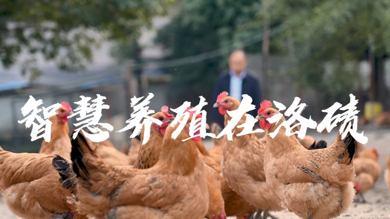 北京高校分子生物学试剂采购，如何规避误区**