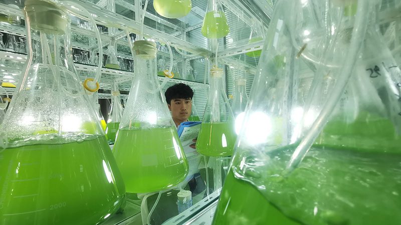 CDMO定制研发，生物药企的“隐形基建”怎么选